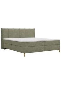 Boxbett Veloria Gr&uuml;n ca. 180x200cm