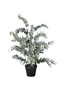 Kunstpflanze Eukalypthus Gr&uuml;n ca. 67cm