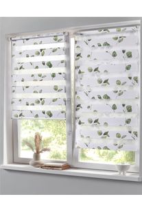 Raffrollo HEINE HOME Gr. 8, gr&uuml;n (wei&szlig;, gr&uuml;n), B:120cm H:150cm, Raffrollos, Raffrollo