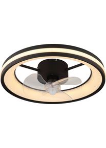 Deckenventilator Hayla Schwarz/Transparent