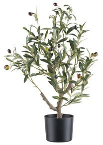 Dekobaum Olivenbaum I Gr&uuml;n/Naturfarben