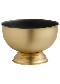 Champagnerk&uuml;hler Glamour Schwarz/Goldfarben