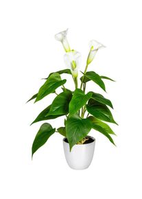 Kunstpflanze, Gr&uuml;n, Wei&szlig;, Kunststoff, 44 cm, inkl. Topf, Dekoration, Blumen & Blument&ouml;pfe, Kunstpflanzen