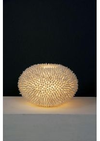 Holl&auml;nder Holl&auml;nder SIRENA BIANCO Tischleuchte Wei&szlig;, 1-flammig