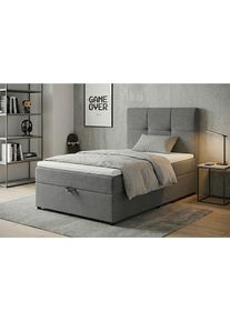 Mid.you , Silberfarben, Hellgrau , Textil, Holzwerkstoff , 100x200 cm , gepolstertes Kopfteil, Stoffauswahl , Schlafzimmer, Betten, Boxspringbetten