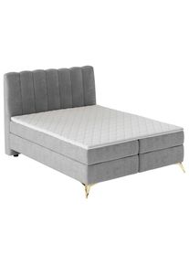 Livetastic , Grau , Textil , H3 , 160x200 cm , Schlafzimmer, Betten, Boxspringbetten