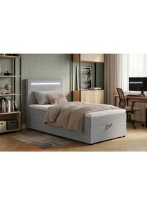 Mid.you , Hellgrau , Textil, Holzwerkstoff , 100x200 cm , Bettkasten, gepolstertes Kopfteil, Beleuchtung, Stoffauswahl , Schlafzimmer, Betten, Boxspringbetten