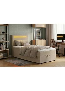 Mid.you , Beige , Textil, Holzwerkstoff , 100x200 cm , Bettkasten, gepolstertes Kopfteil, Beleuchtung, Stoffauswahl , Schlafzimmer, Betten, Boxspringbetten