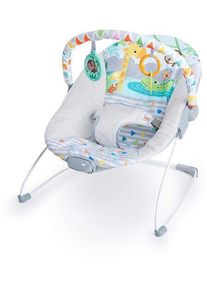 Bright Starts Safari Fun Babywippe | mehrfarbig