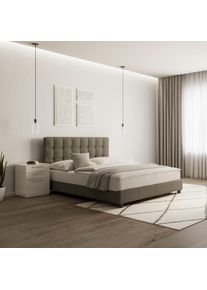 Polsterbett Frederico Hellgrau ca. 180x200 cm