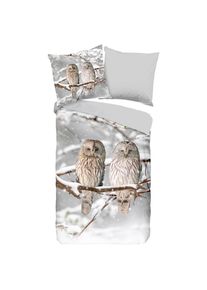 M&Ouml;BELIX M&ouml;belix , Grau, Hellgrau , Textil , Eule , 200x200 cm , atmungsaktiv, angenehm w&auml;rmend , Wohnaccessoires