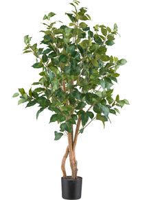 Kunstpflanze Gr&uuml;npflanzen Gr&uuml;n/Schwarz ca. 110cm