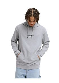 Kapuzensweatshirt DC Shoes "Vantura", Herren, Gr. XL, light erdgrau, Obermaterial: 80% Baumwolle, 20% Polyester., Sweatshirts Kapuzensweatshirt