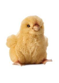 Poussin de K&ouml;sener petit