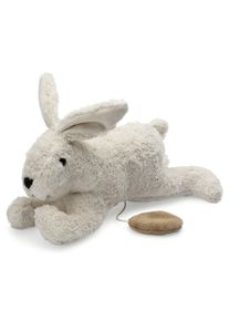 Spilled&aring;se kanin