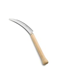 Japansk staudehalvm&aring;ne