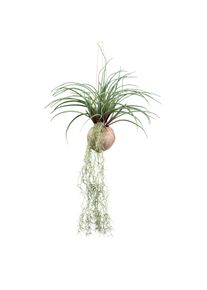 Kunstpflanze Tilandsia Stricta II in Gr&uuml;n