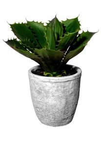 Kunstpflanze Echeveria in Gr&uuml;n