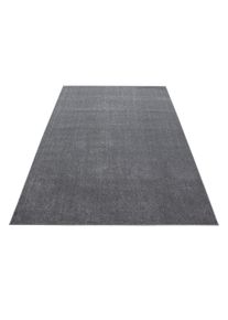 Ayyildiz Hochflorteppich Ata Hellgrau ca. 80x150cm