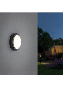 LED Au&szlig;en-Wandleuchte Paulmann "IP44 180mm 3000K 15W 1050 lm 230V Grau Kunststoff", grau, &Oslash;:18cm, Leuchten, LED Au&szlig;en-Wandleuchte, Pendellampe, Vintage Pendelleuchte im Retro Look, &Oslash; 18 cm