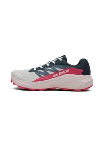 Salomon Alphaglide GTX Femme