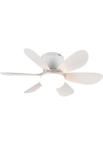 REALITY LEUCHTEN LED Deckenleuchte "LUND mit Ventilator, Deckenventilator mit Licht inkl Fernbedienung", wei&szlig; (wei&szlig; matt), 1, &Oslash; 53cm H: 16cm, 1 Stk., Leuchten, 3 Geschwindigkeiten Timer Vor- & R&uuml;cklauf LED dimmbar CCT Nachtlicht, LED Deckenleuchte