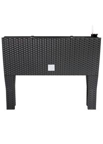 Deuba Hoge Plantenbak Antraciet Kunststof 60x25x46cm