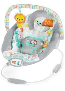 Bright Starts Bouncer Whimsical Wild