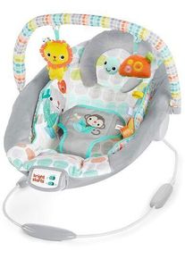 Bright Starts Bouncer Whimsical Wild | mehrfarbig