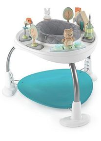 Ingenuity Spring & Sprout Aktivit&auml;tscenter | multicolore