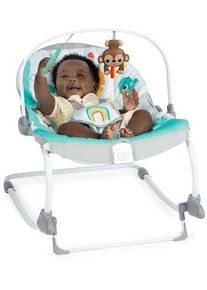 Bright Starts Wild Vibes Babywippe | mehrfarbig