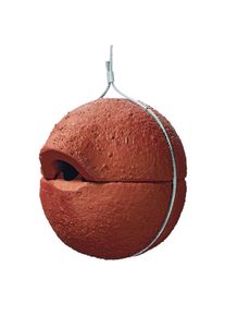 Nidk&aelig;r kuglenisse i rede