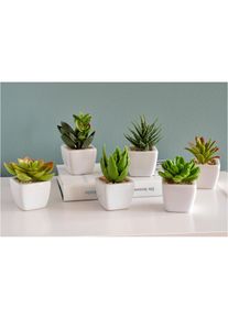 Piante grasse artificiali (set 6 pezzi), Verde, Taglia 8x5,5 cm, bonprix