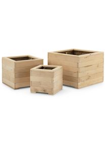 Dennenhouten plantenbak set van drie