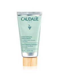 Caudalie Cleaners & Toners face exfoliator for deep cleansing 75 ml