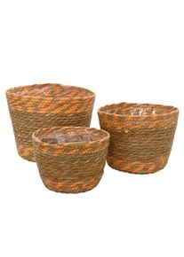 Kaemingk Pot de fleurs de taille moyenne SEEGRAS