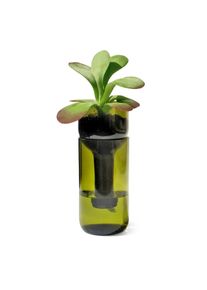 Side By Side Planter Zelf Water gevende Fles