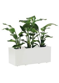 Blumenkasten Wei&szlig;