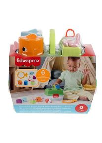 Fisher Price Fisher-Price JLB85 learning toy