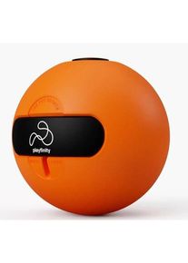 Playfinity Speedy Ball - Without sensor