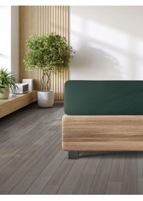 Spannbettlaken Irisette "Porto 20", gr&uuml;n, B:180cm L:200cm, Jersey, Obermaterial: 95% Baumwolle, 5% Elasthan, Bettlaken, Spannbettlaken, besonders elastisch