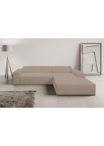 Ecksofa WERK2 "Zeus-XL, B/T: 311/210 cm, Mega-Sofa mit gro&szlig;er Sitztiefe, modern", braun (hellbraun), B:311cm H:70cm T:210cm, 100% Polyester, Sofas, Ecksofa, Curvy Trend Garnitur mit urbaner Optik, bequem, Big-Sofa, L-Form