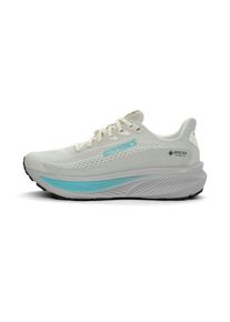 Brooks Ghost 17 GTX Women