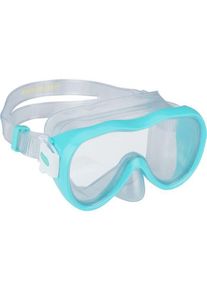 Schreuder Dive Mask - 3+ Years