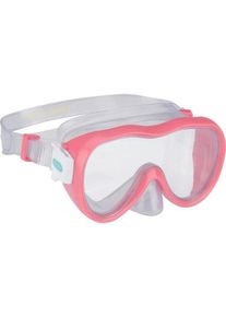 Schreuder Dive Mask - 3+ Years