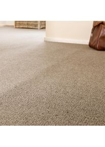 Teppichboden ANDIAMO "Luton, Feinschlinge, Gesamth&ouml;he 6 mm, Luxusklasse LC1", beige, B:400cm L:350cm, Kunstfaser, Teppiche, Teppichboden, meliert, Breite 400 cm oder 500 cm, strapazierf&auml;hig & pflegeleicht