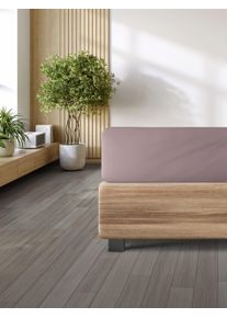 Spannbettlaken Irisette "Porto 20", rosa, B:180cm L:200cm, Jersey, Obermaterial: 95% Baumwolle, 5% Elasthan, Bettlaken, Spannbettlaken, besonders elastisch