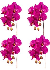 Kunstorchidee Creativ green "Orchidee Phalaenopsis", lila (orchidee), H:44cm, Kunstpflanzen, Kunstorchidee, mit real-touch-Bl&uuml;ten