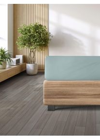 Spannbettlaken Irisette "Porto 20", salbei, B:180cm L:200cm, Jersey, Obermaterial: 95% Baumwolle, 5% Elasthan, Bettlaken, Spannbettlaken, besonders elastisch