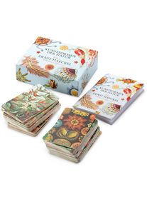 Favoritenpresse Ged&auml;chtnisspiel Kunstformen der Natur